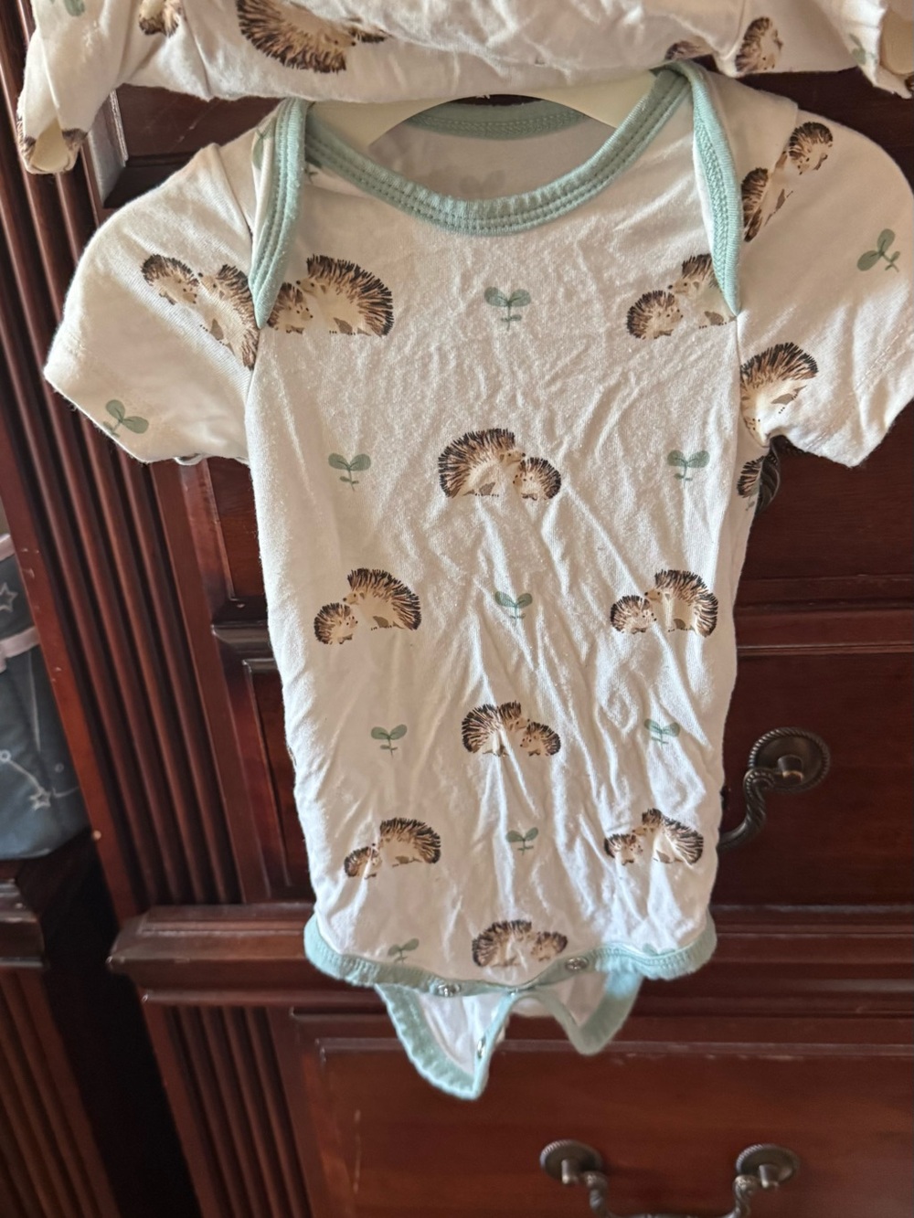 2 Kyte BABY White One-Piece Bodysuit with Hedghogs and Mint Trim